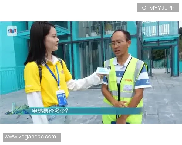 畅享全球视野CCTV4在线直播电视带你领略精彩瞬间