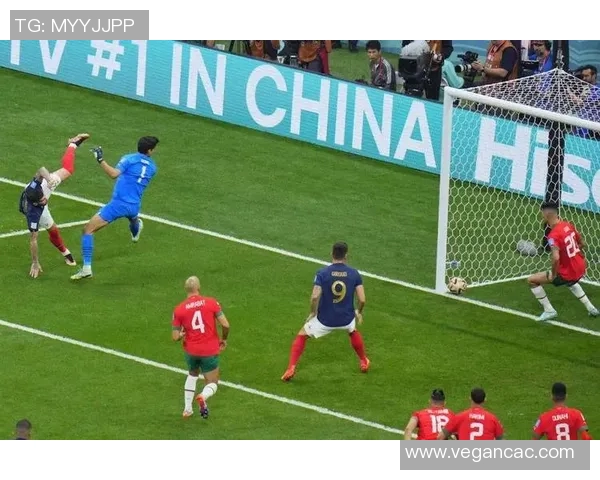 06年世界杯经典对决巴西与法国的巅峰对决回顾 06年世界杯经典对决巴西与法国的巅峰对决回顾