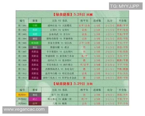 足球比分分析与指数解读助你精准预测比赛结果