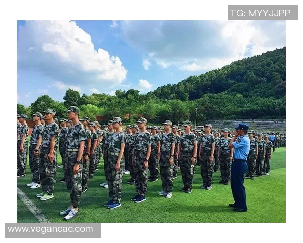 赵楠楠的成长之路：从普通学生到优秀人才的蜕变与奋斗故事