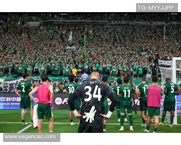 2017年国安对阵贵州精彩集锦回顾与赛场瞬间重温