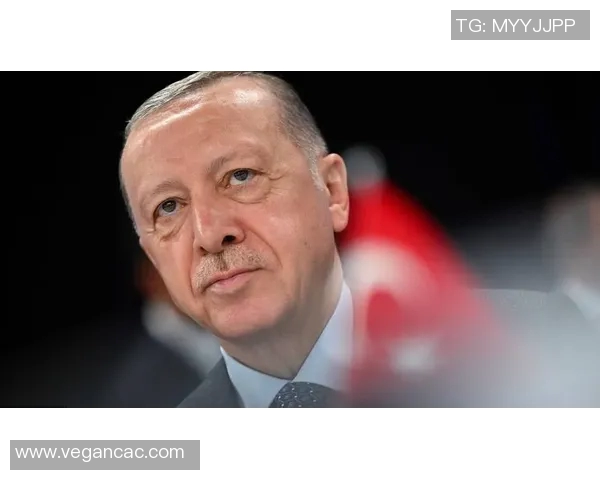 俄罗斯与土耳其精彩对决集锦回顾赛场瞬间尽在其中 俄罗斯与土耳其精彩对决集锦回顾赛场瞬间尽在其中