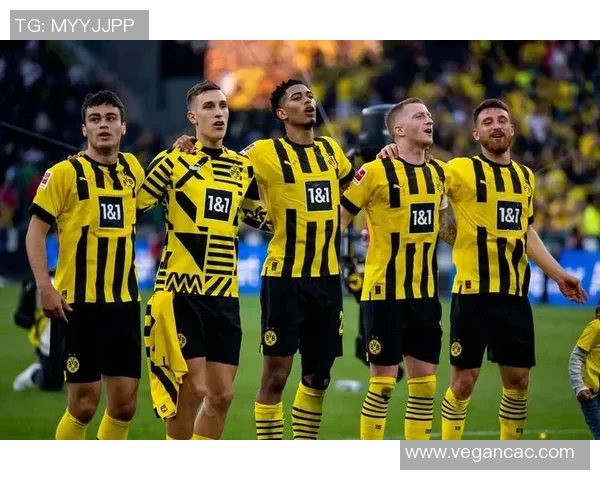 多特蒙德与布鲁日历史交锋战绩分析及未来展望