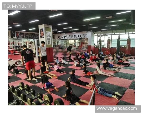 散打规则详解与实战技巧解析助你成为搏击高手