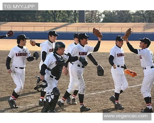 探索NPB的魅力与发展潜力：日本职业棒球的未来之路