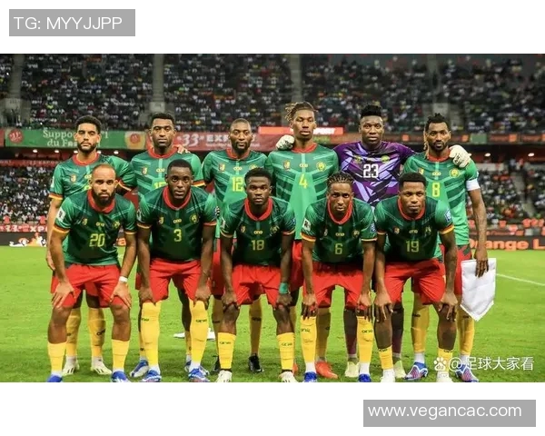 喀麦隆足球队的辉煌历程与未来展望：从非洲之狮到世界舞台的征战