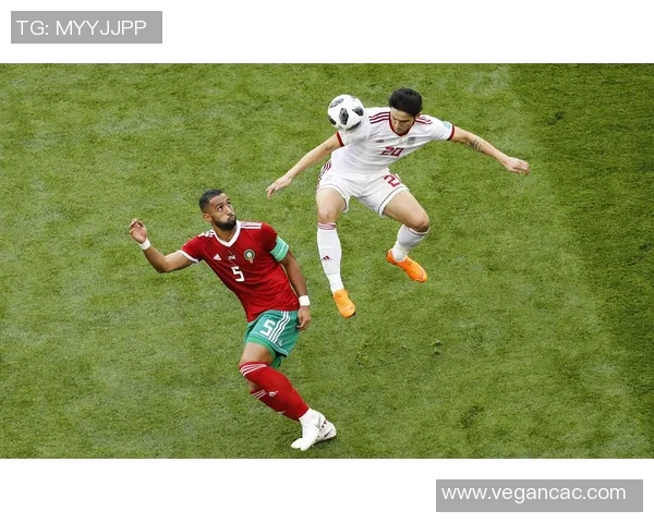 伊朗与摩洛哥足球比赛技术统计分析及数据对比