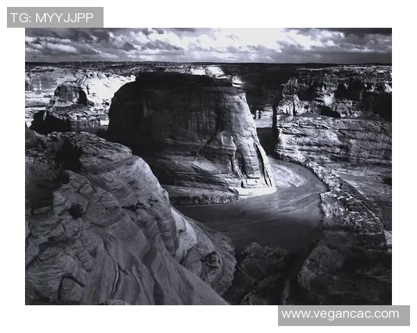 亚当斯的传奇人生与影响力探索:从历史人物到现代文化象征的演变之路