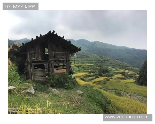 沙雅县足球比赛精彩直播视频全程回放与精彩瞬间分享