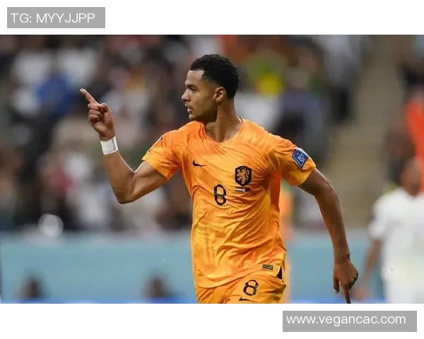 加克波：从新星崛起到足坛巨星的辉煌之路与未来展望